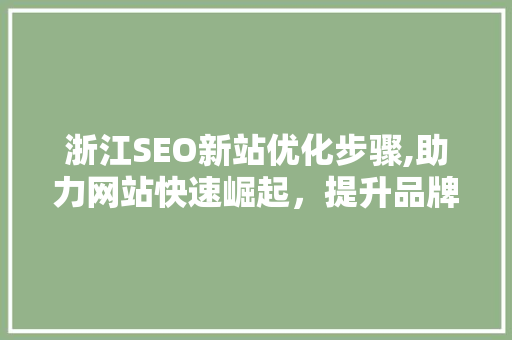 浙江SEO新站优化步骤,助力网站快速崛起，提升品牌影响力