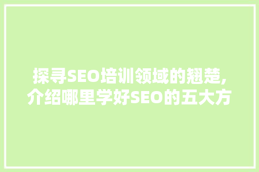 探寻SEO培训领域的翘楚,介绍哪里学好SEO的五大方法
