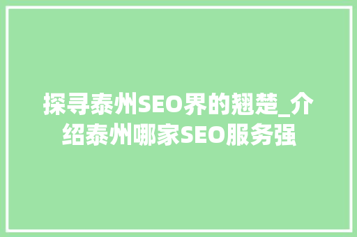 探寻泰州SEO界的翘楚_介绍泰州哪家SEO服务强