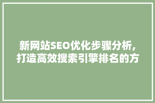 新网站SEO优化步骤分析,打造高效搜索引擎排名的方法