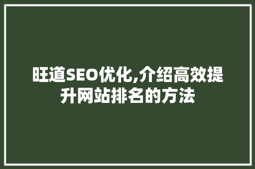 旺道SEO优化,介绍高效提升网站排名的方法