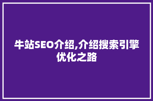 牛站SEO介绍,介绍搜索引擎优化之路