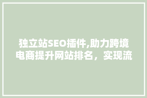 独立站SEO插件,助力跨境电商提升网站排名，实现流量转化