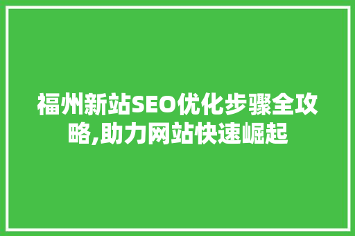 福州新站SEO优化步骤全攻略,助力网站快速崛起