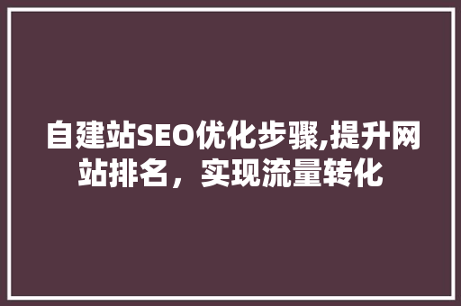 自建站SEO优化步骤,提升网站排名，实现流量转化