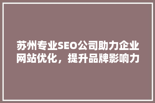 苏州专业SEO公司助力企业网站优化，提升品牌影响力