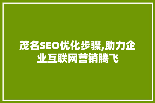茂名SEO优化步骤,助力企业互联网营销腾飞