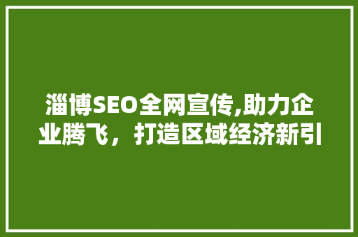 淄博SEO全网宣传,助力企业腾飞，打造区域经济新引擎