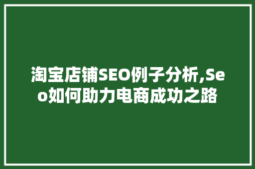 淘宝店铺SEO例子分析,Seo如何助力电商成功之路
