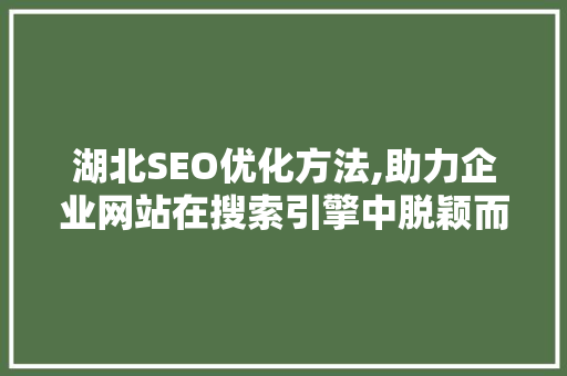 湖北SEO优化方法,助力企业网站在搜索引擎中脱颖而出