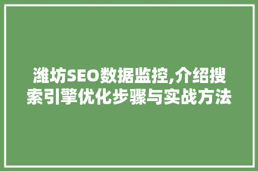 潍坊SEO数据监控,介绍搜索引擎优化步骤与实战方法