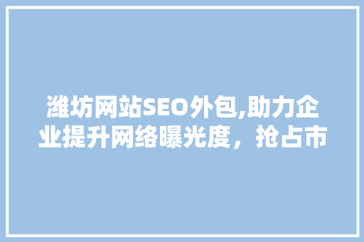 潍坊网站SEO外包,助力企业提升网络曝光度，抢占市场先机