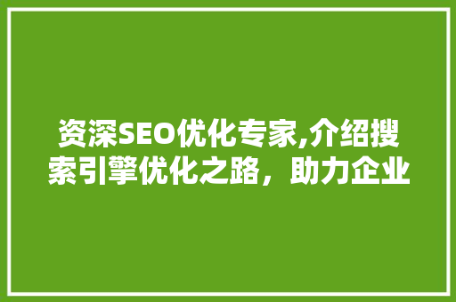资深SEO优化专家,介绍搜索引擎优化之路，助力企业腾飞