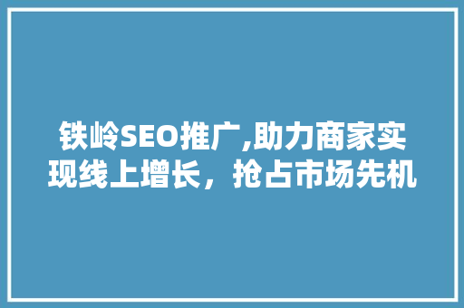 铁岭SEO推广,助力商家实现线上增长，抢占市场先机