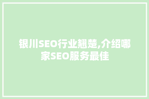 银川SEO行业翘楚,介绍哪家SEO服务最佳