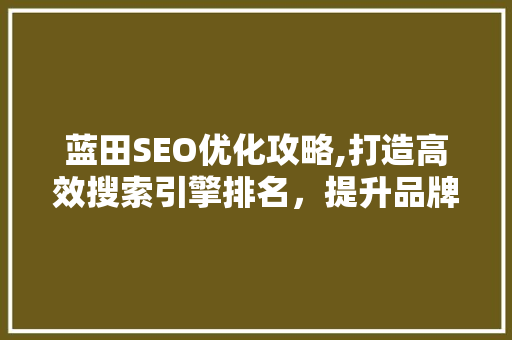 蓝田SEO优化攻略,打造高效搜索引擎排名，提升品牌影响力