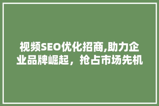 视频SEO优化招商,助力企业品牌崛起，抢占市场先机