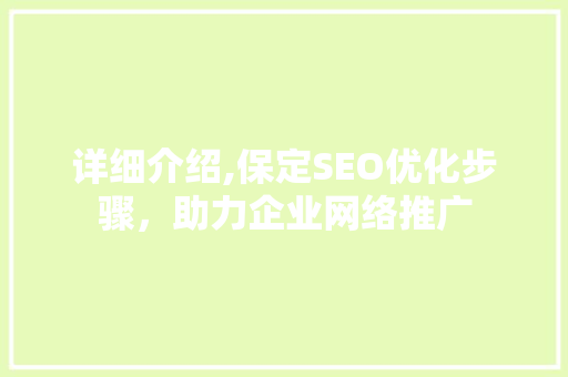 详细介绍,保定SEO优化步骤，助力企业网络推广