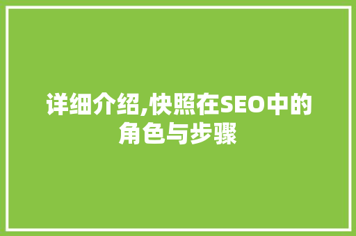 详细介绍,快照在SEO中的角色与步骤