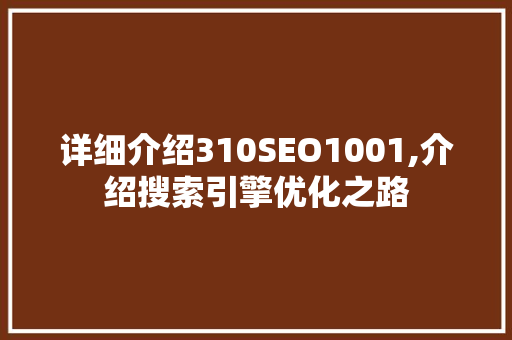 详细介绍310SEO1001,介绍搜索引擎优化之路