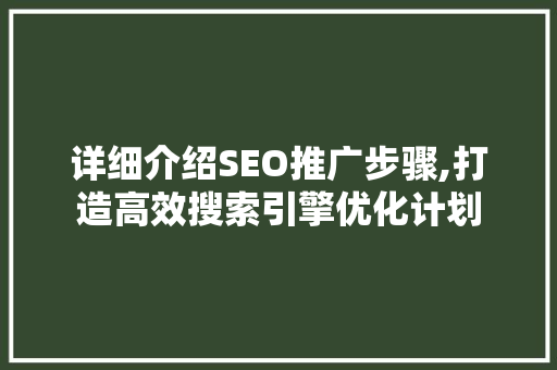 详细介绍SEO推广步骤,打造高效搜索引擎优化计划