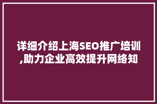 详细介绍上海SEO推广培训,助力企业高效提升网络知名度