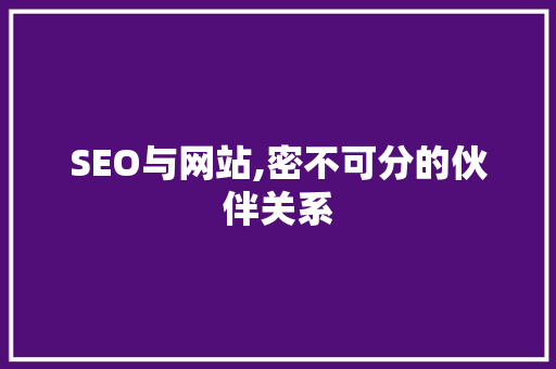 SEO与网站,密不可分的伙伴关系