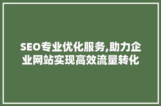 SEO专业优化服务,助力企业网站实现高效流量转化