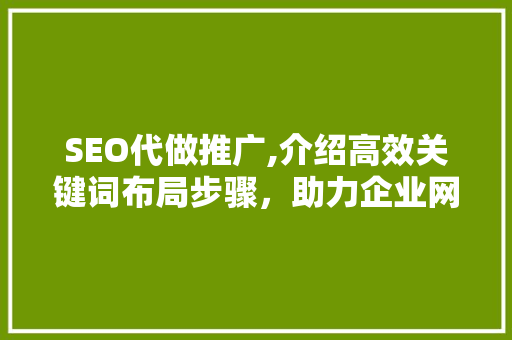 SEO代做推广,介绍高效关键词布局步骤，助力企业网站脱颖而出