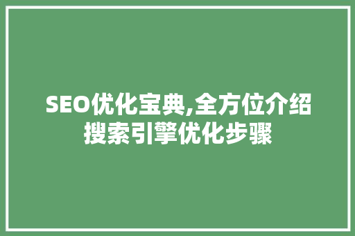 SEO优化宝典,全方位介绍搜索引擎优化步骤