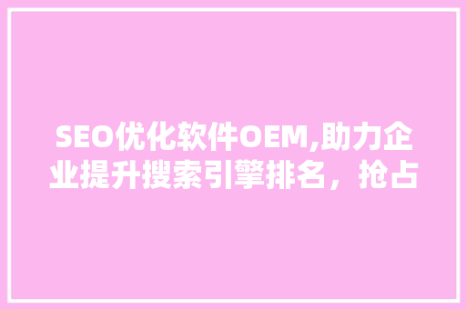 SEO优化软件OEM,助力企业提升搜索引擎排名，抢占市场先机