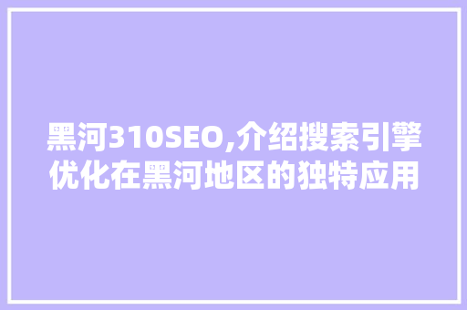 黑河310SEO,介绍搜索引擎优化在黑河地区的独特应用