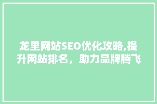 龙里网站SEO优化攻略,提升网站排名，助力品牌腾飞
