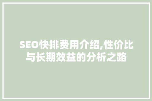 SEO快排费用介绍,性价比与长期效益的分析之路