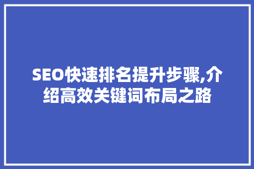 SEO快速排名提升步骤,介绍高效关键词布局之路
