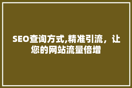 SEO查询方式,精准引流，让您的网站流量倍增