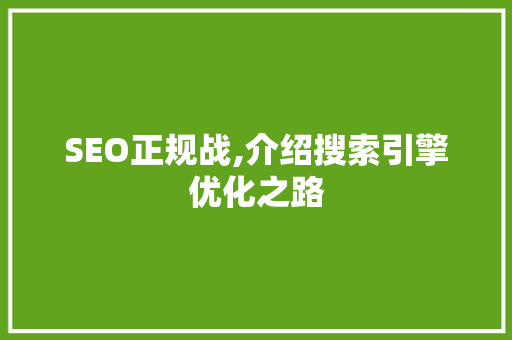 SEO正规战,介绍搜索引擎优化之路