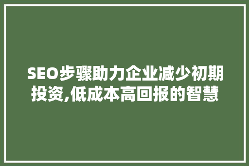 SEO步骤助力企业减少初期投资,低成本高回报的智慧之路