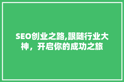 SEO创业之路,跟随行业大神，开启你的成功之旅