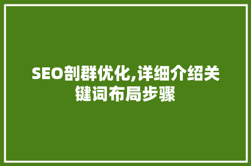 SEO剖群优化,详细介绍关键词布局步骤