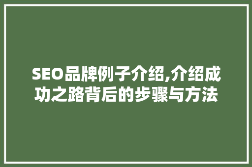 SEO品牌例子介绍,介绍成功之路背后的步骤与方法
