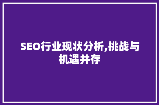 SEO行业现状分析,挑战与机遇并存