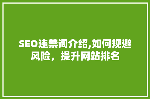 SEO违禁词介绍,如何规避风险，提升网站排名