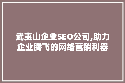 武夷山企业SEO公司,助力企业腾飞的网络营销利器