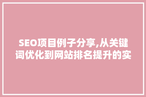 SEO项目例子分享,从关键词优化到网站排名提升的实战介绍