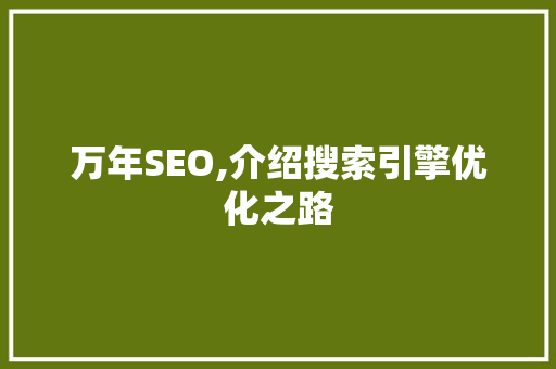 万年SEO,介绍搜索引擎优化之路