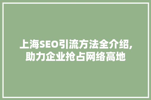 上海SEO引流方法全介绍,助力企业抢占网络高地