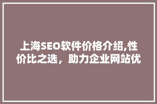上海SEO软件价格介绍,性价比之选，助力企业网站优化