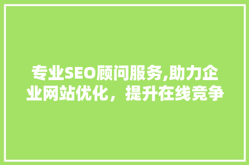 专业SEO顾问服务,助力企业网站优化，提升在线竞争力