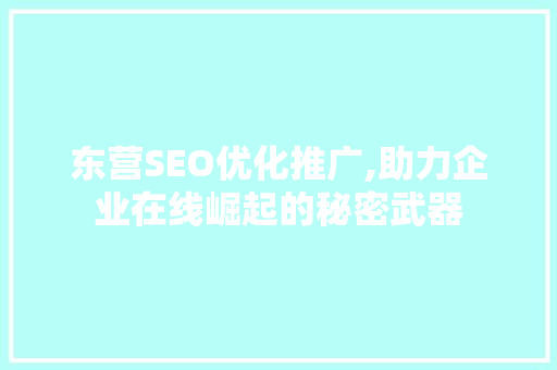 东营SEO优化推广,助力企业在线崛起的秘密武器